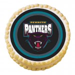 ED57 Penrith Panthers